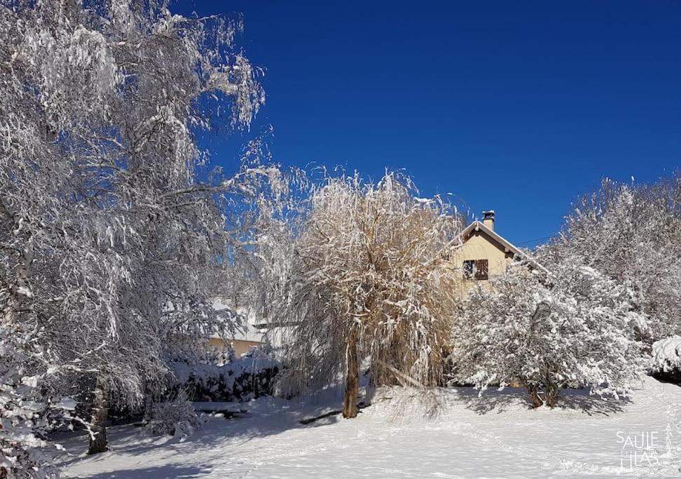 Studio Cosy Et Fonctionnel Entre Saule Et Lilas Villard-de-Lans Exteriér fotografie