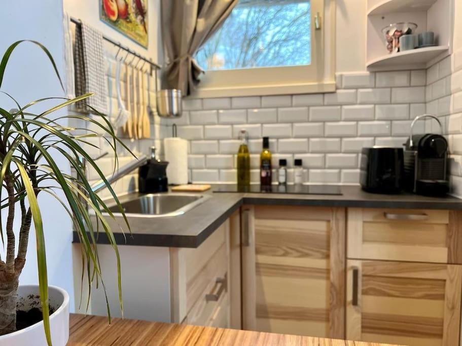 Studio Cosy Et Fonctionnel Entre Saule Et Lilas Villard-de-Lans Exteriér fotografie
